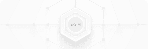 eSIM feature