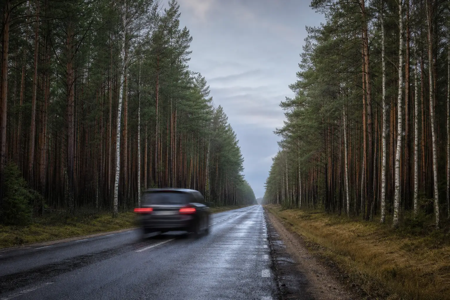 A car on a wet Estonian road through dense pine and birch forest under a pale Nordic sky, evoking Estonia's speed limits.