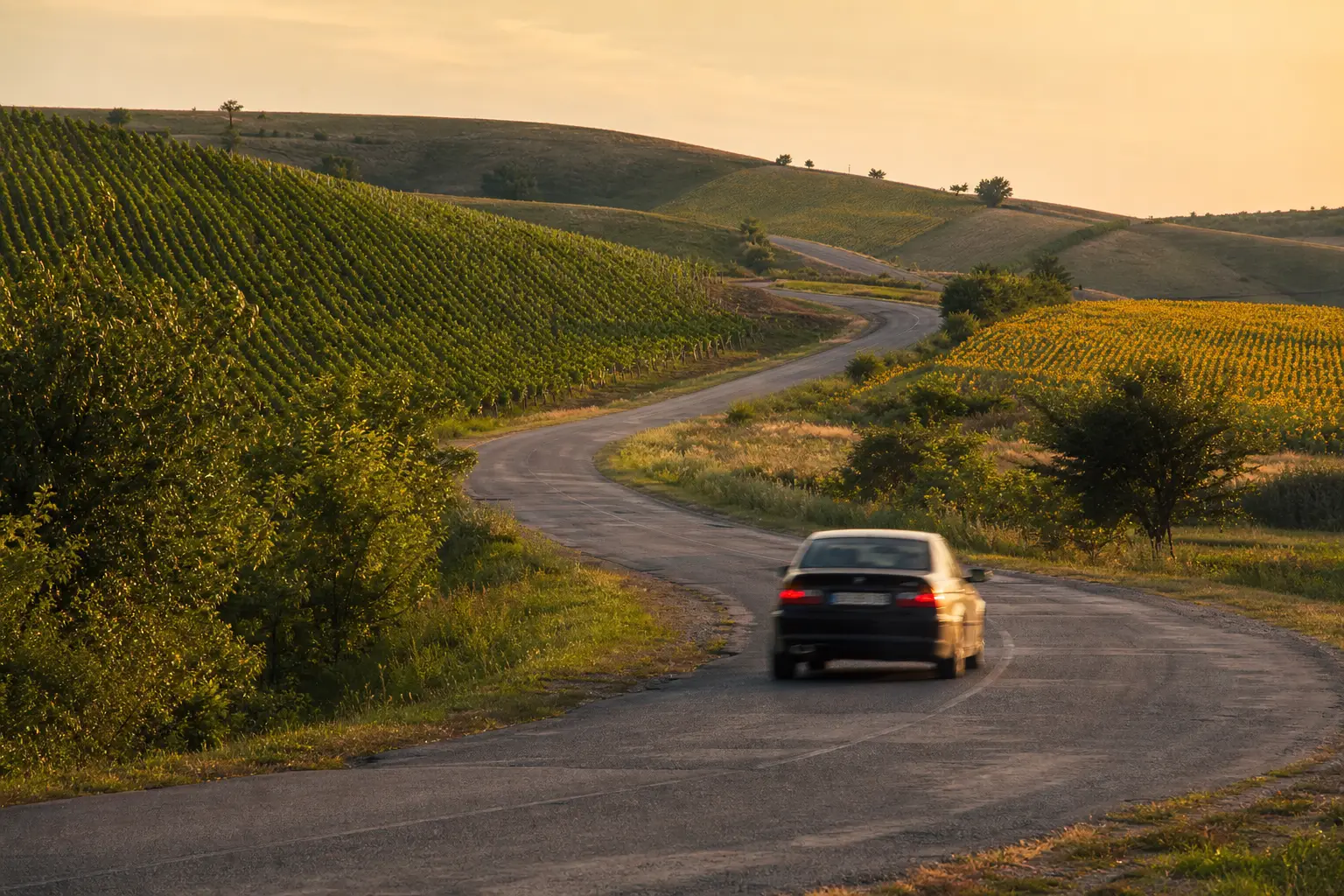A car on a winding Moldovan road through rolling vineyard and sunflower hills at sunset, evoking Moldova's speed limits.