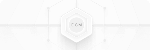 eSIM feature
